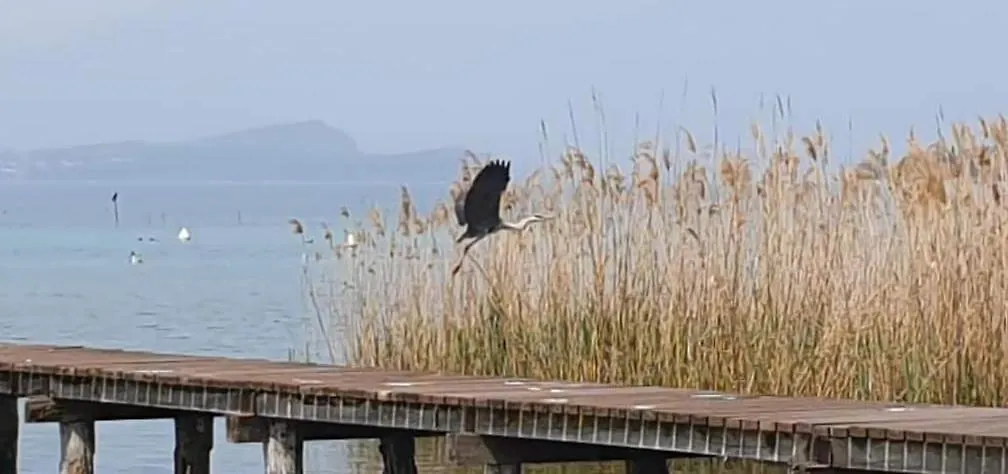 Anai Apartment Sirmione