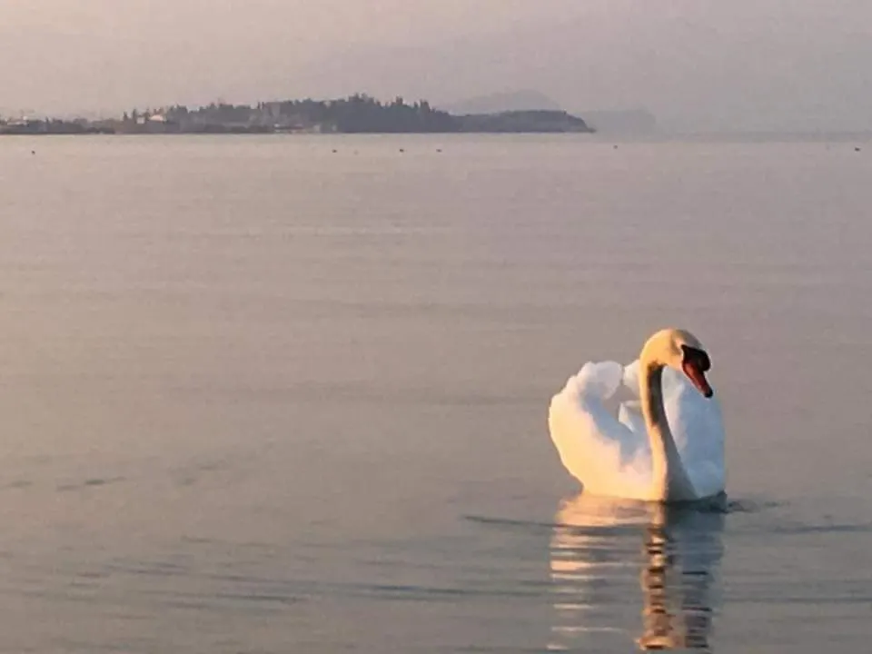 Anai Apartment Sirmione