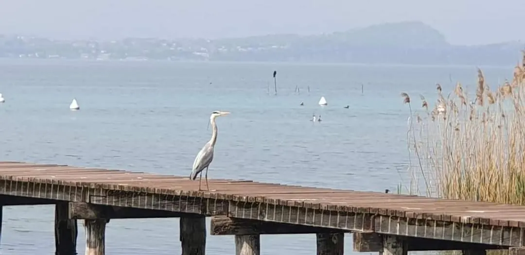 Anai Apartment Sirmione Itália